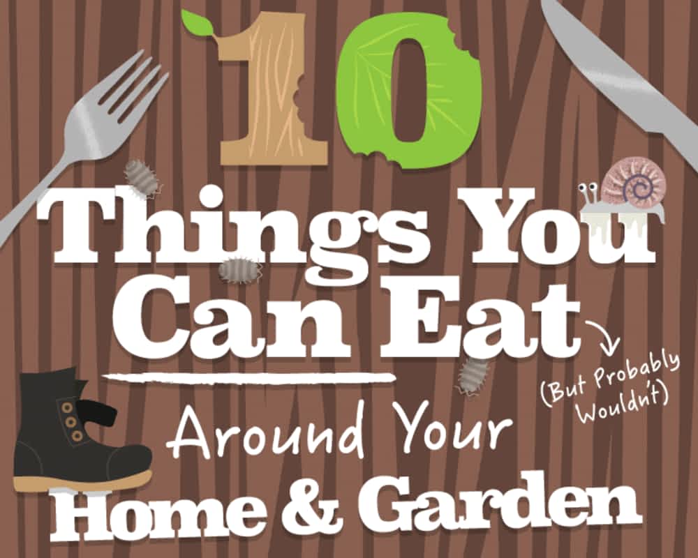 10 things you can eat around your home and garden