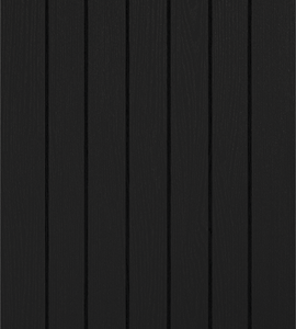 Black Mexicano Door