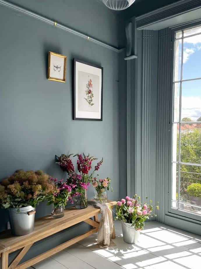 Corner of a teal coloured room showing a bench with lots of plants on it beside a large window