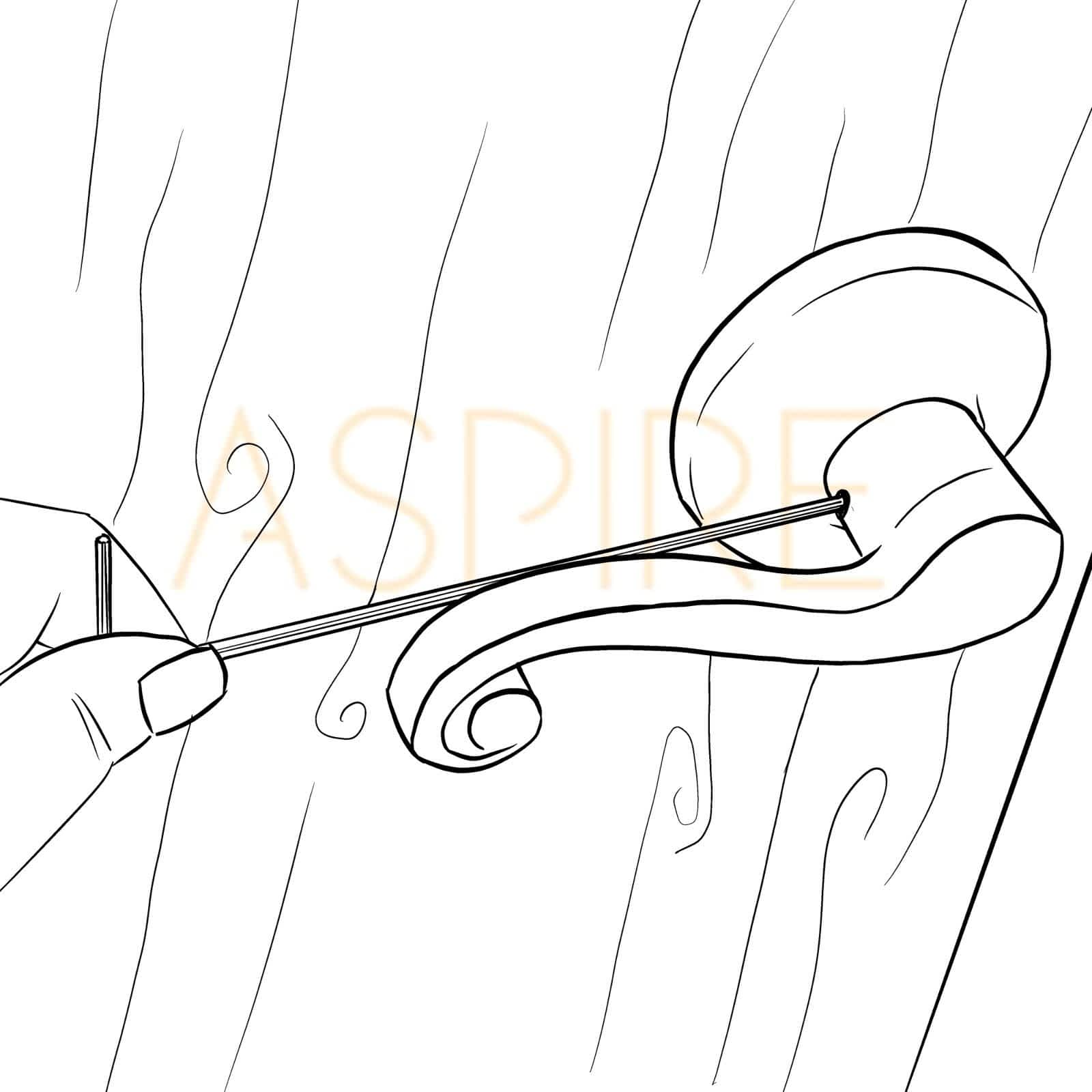 grub screw