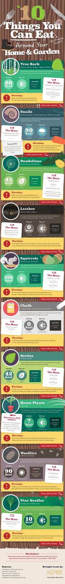 Things you can eat around the house
