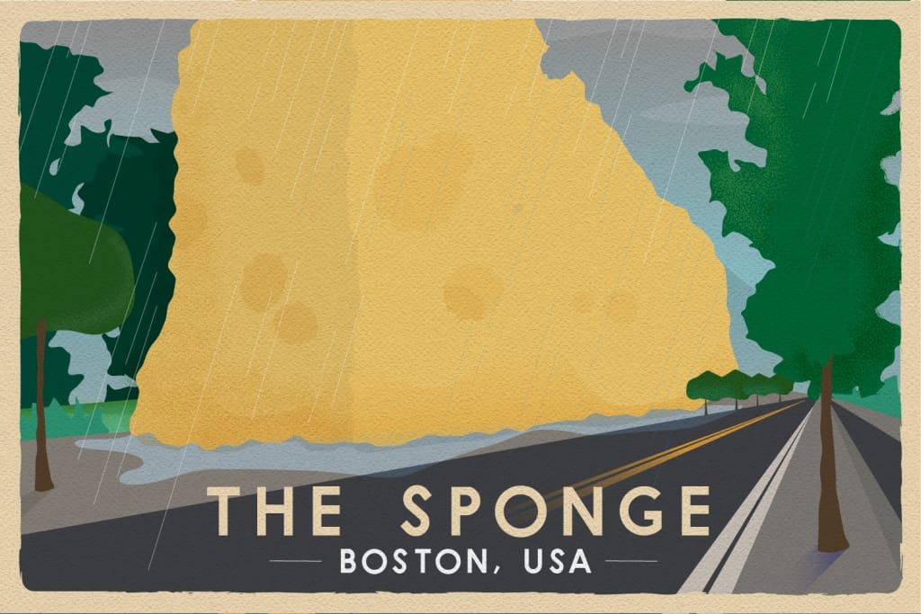 the sponge boston illustrated